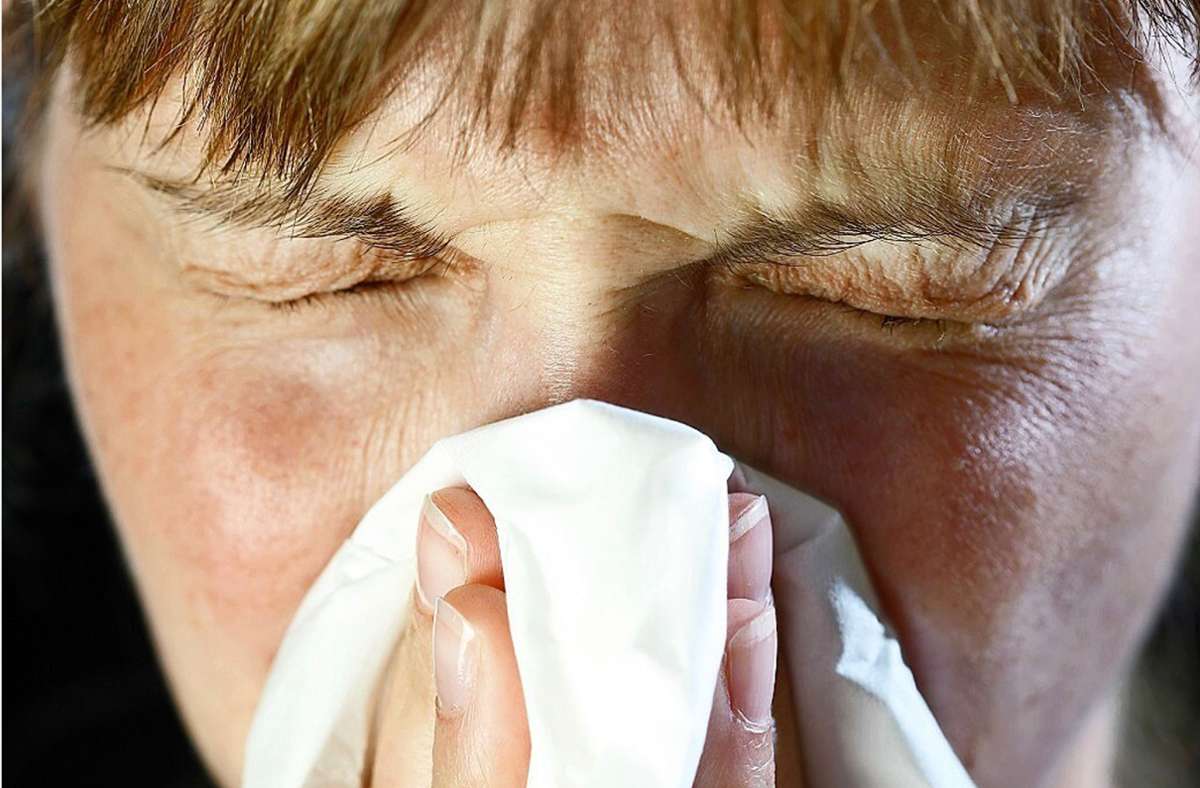 Niesattacken, Fließschnupfen und Augenjucken: Immer mehr Menschen auf der Zollernalb leiden an Heuschnupfen. Foto: /  Tack