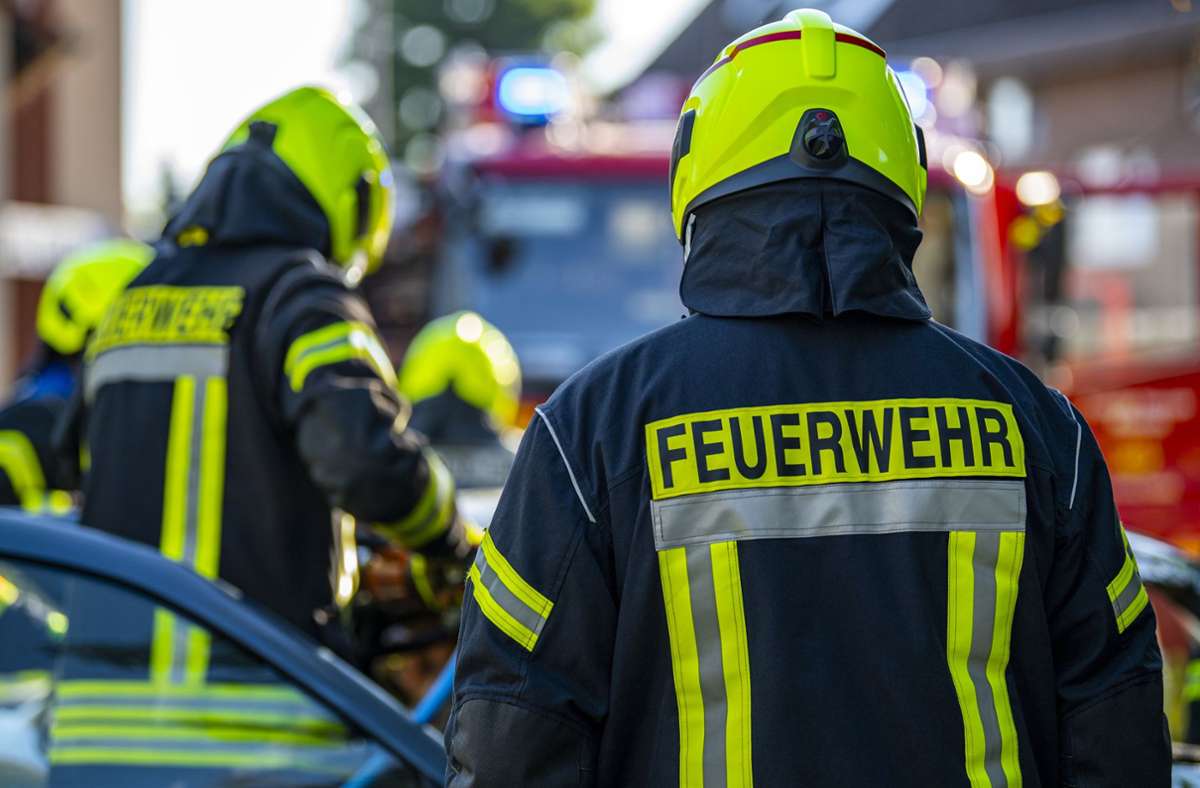 Heimsheim: Feuerwehr rettet angefahrene Katze aus einem Schacht