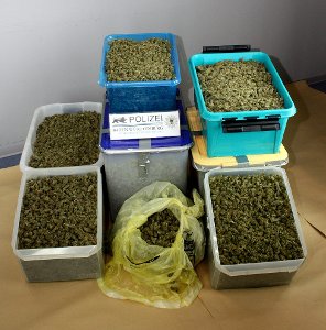 Die Polizei hat 25 Kilogramm Marihuana beschlagnahmt. Foto: Polizei