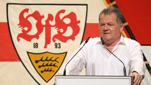 Der VfB steckt in den roten Zahlen
