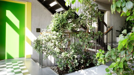Ein begrüntes Treppenhaus soll das Gebäude mit tinyhaus-ähnlichen Maisonette-Wohnungen besonders machen. Foto: max eicke
