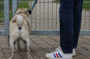 Hunde sind auf dem Gelände der Balinger Gartenschau nicht gestattet. Foto: Mattes