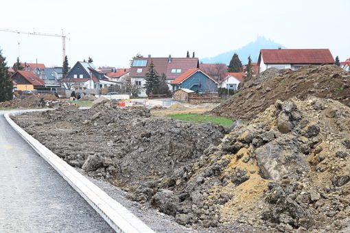 32 neue Bauplätze sollen in Bisingen entstehen. Foto: Kauffmann