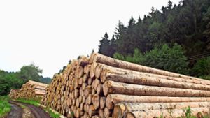 Im Stunzachtal unterhalb Binsdorfs befindet sich das Nasslager, in dem gefällte Bäume bis zum Verkauf zwischengelagert werden. Auch andere Kommunen nutzen das Lager und bezahlen Geislingen dafür jährlich rund 10 000 Euro Miete. Foto: Wolf-Ulrich Schnurr