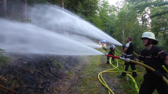 Waldbrand: Feuerwehr kämpft an vier Fronten