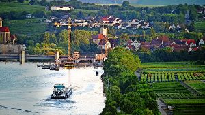 Der Neckar als Straße für  Castoren