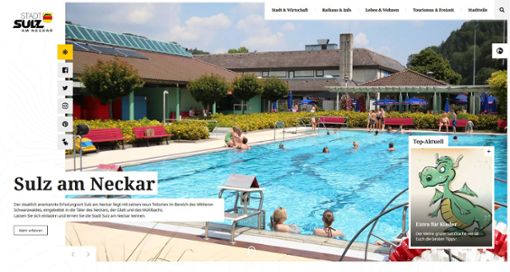 Die Homepage der Stadt ist neu gestaltet. Der Salzdrache gibt  Freizeittipps für Kinder.  Foto: Stadt Sulz