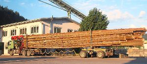 Mehr als doppelt so viel drauf wie erlaubt: 47 statt 20,5 Tonnen frisches Fichtenholz. Foto: Polizei Foto: Schwarzwälder-Bote