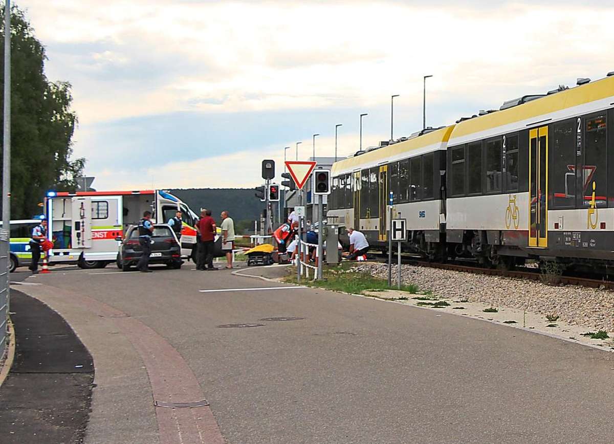 Der Zug, der den jungen Mann erfasste, war in Richtung Sigmaringen unterwegs. Foto: Pfister