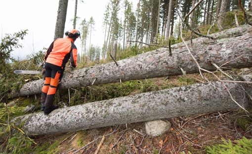 Der Sturm Burglind im Januar bringt viel Holz auf den Markt und beeinflusst die Preise.  Foto: Seeger Foto: Schwarzwälder Bote