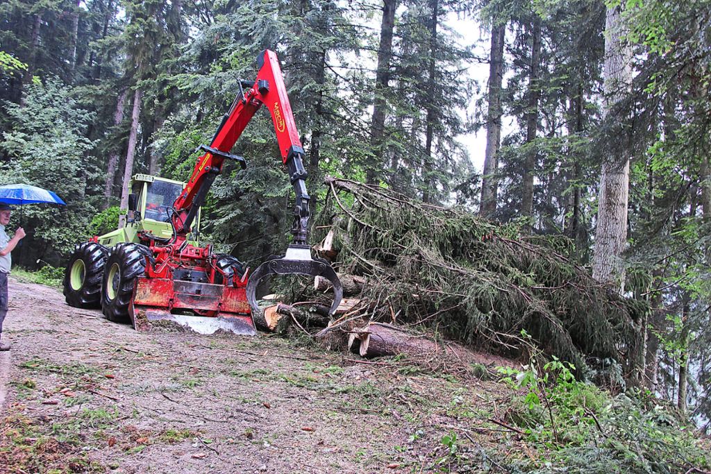 Die Waldarbeiter in Bad Teinach-Zavelstein rücken mit schwerem Gerät an, um die befallen Bäume abzutransportieren.