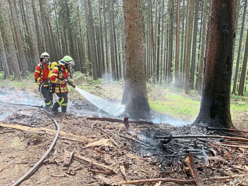 Erneut ist im Oberen Bregtal ein Waldbrand ausgebrochen. Wehrleute bekämpfen unter Atemschutz die Flammen. Foto: Feuerwehr