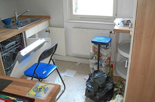 Vermüllte Küche: So sah es nach dem Auszug eines mutmaßlichen Mietbetrügers aus einer Wohnung in Horb aus. (Archiv-Foto) Foto: Lück