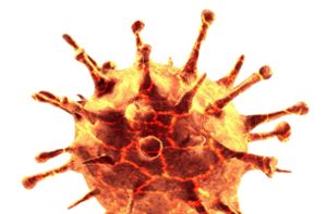 Eine Erzieherin in Calw hat sich mit dem Coronavirus angesteckt. (Symbolfoto) Foto: © Thaut Images – stock.adobe.com