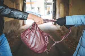 Zwei Jugendliche versuchten einer 62-Jährigen die Handtasche zu klauen. (Symbolfoto) Foto: ©  DedMityay – stock.adobe.com