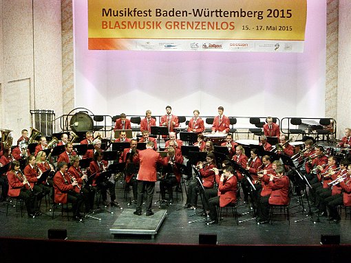 Der Musikverein Heinstetten hat sich erfolgreich am Landesmusikfest in Karlsruhe beteiligt. Foto: Verein Foto: Schwarzwälder-Bote