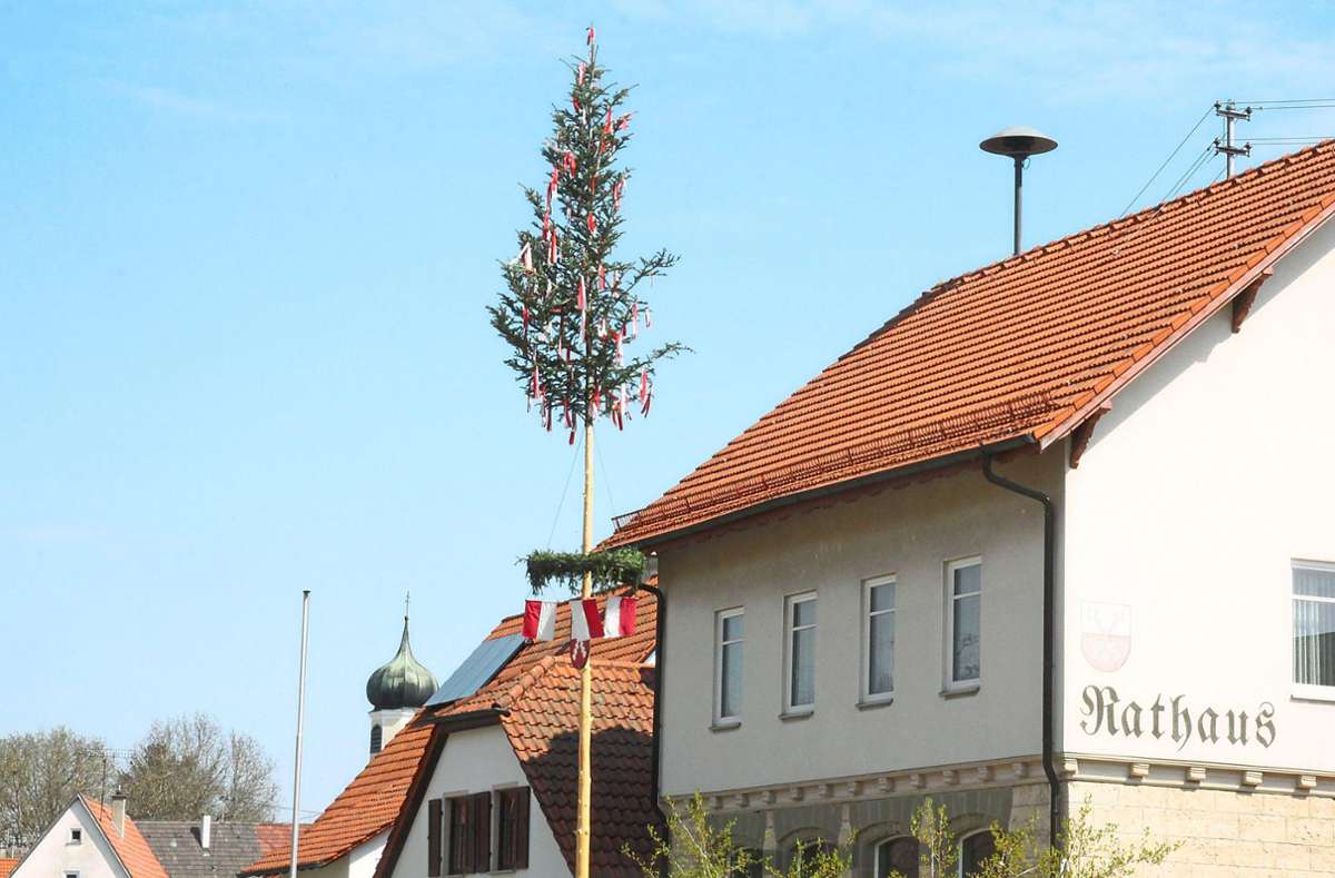 Der Maibaum in Höfendorf schlägt in diesem Jahr große Wellen. Gegen den Übeltäter, der den ersten Baum mit der Motorsäge gekappt hat, wird nun ermittelt. Foto: Beiter