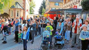 Mahlberg sagt bereits geplantes Stadtfest ab