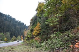 Die Arbeiten entlang der B 462 zwischen Schiltach und Schramberg gehen noch weiter. Für den Bau von Schutzzäunen sind bereits am Wochenende Bäume gefällt worden.    Foto: Sum