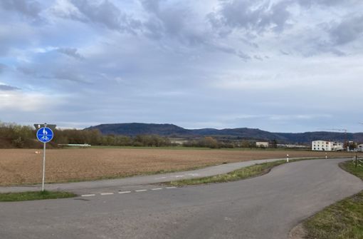 Eine Nordumfahrung würde hier zwischen Neubaugebiet Alter Sportplatz (rechts) und Baggersee durchziehen. Foto: Bohnert-Seidel