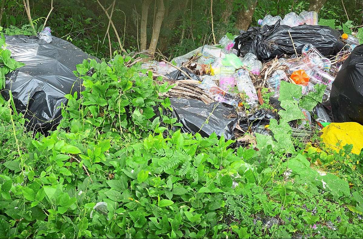 In der Natur abgelagerter Müll ist ein Ärgernis - auch in St. Georgen.