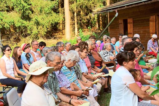 Die katholische Frauengemeinschaft engagiert sich vielfältig, so lädt sie seit 25 Jahren auch zum Feldgottesdienst an Drillis Hütte ein. Foto: Bächle Foto: Schwarzwälder Bote