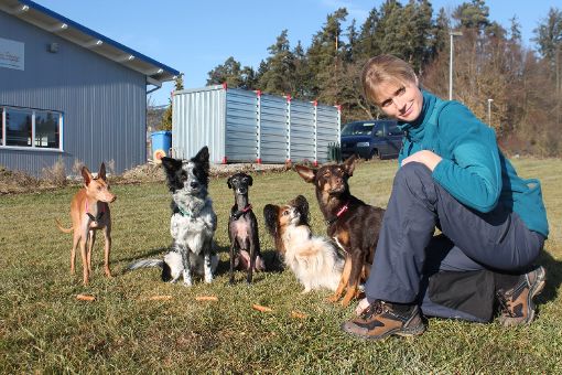 Die Hunde von Jeanette Frank wissen, dass sie die Würstchen nicht ungefragt vom Boden essen dürfen.  Foto: Müller