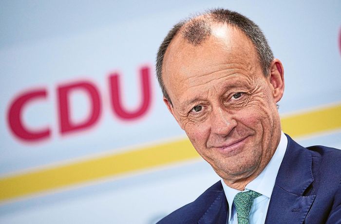 Reaktionen aus Horber Region: Ist Friedrich Merz der richtige Mann für die CDU?
