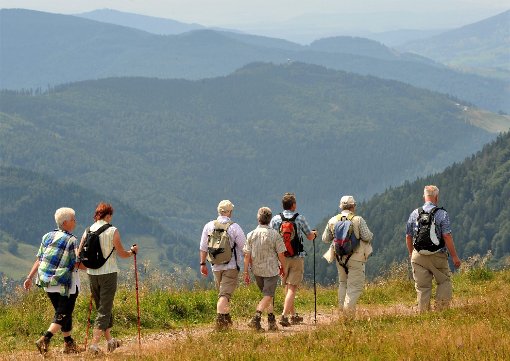 Wandern liegt im Trend: Der Deutsche Wanderverband hat kürzlich mehrere Qualitätswege zertifiziert –  so auch den Lauterbacher Wandersteig. Foto: Haid Foto: Schwarzwälder-Bote