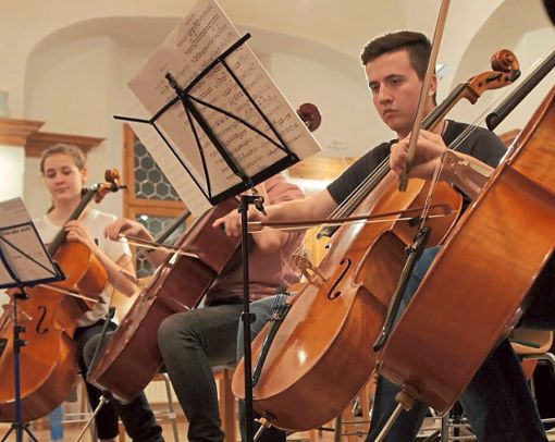 Talentierte junge Musiker werden unter anderem Stücke bekannter Komponisten vorspielen.  Foto: Musikschule Calw Foto: Schwarzwälder Bote