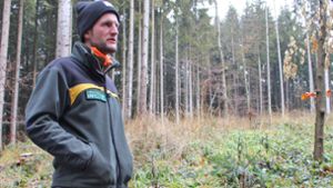 Den Wald verstehen – das ist das Ziel von „Bad Dürrheim blüht auf“ und Förster Matthias Berger. Foto: Strohmeier