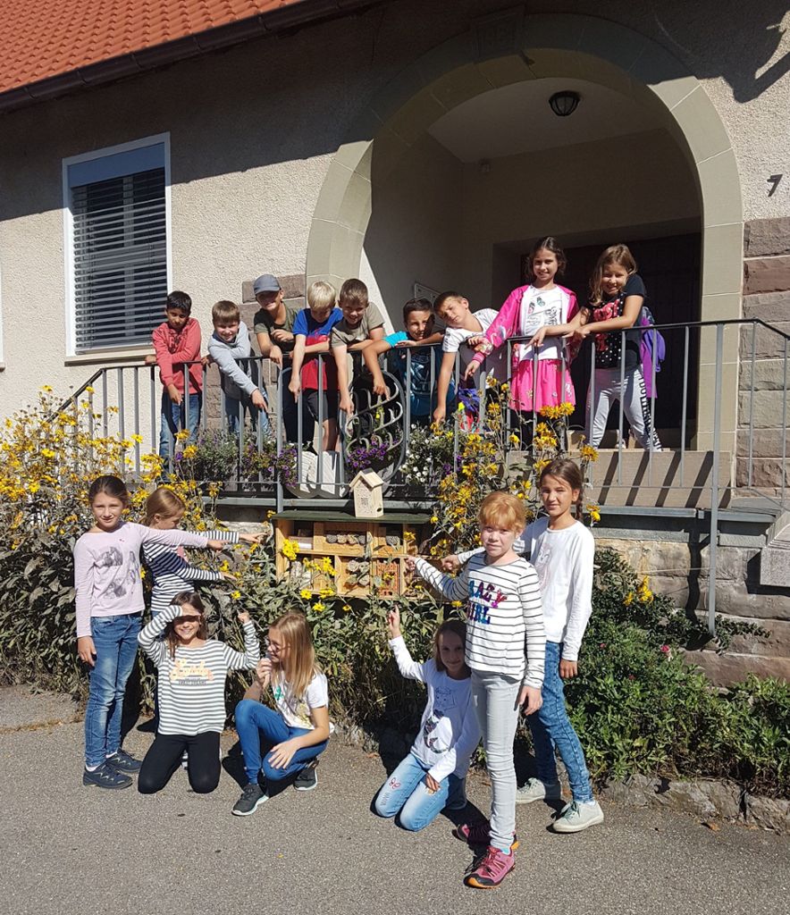 Wildbienen haben dank der Schüler der Grundschule Bergfelden einen neuen Nistkasten. Fotos: Christine Fries