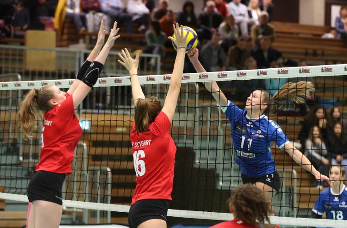 TV Villingen: Volleyballerinnen geben Punkte gegen Stuttgart ab