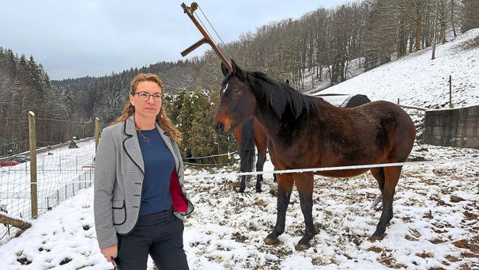 Kurioser Fall in Wolfach: Was ist mit Stute Soraya passiert?
