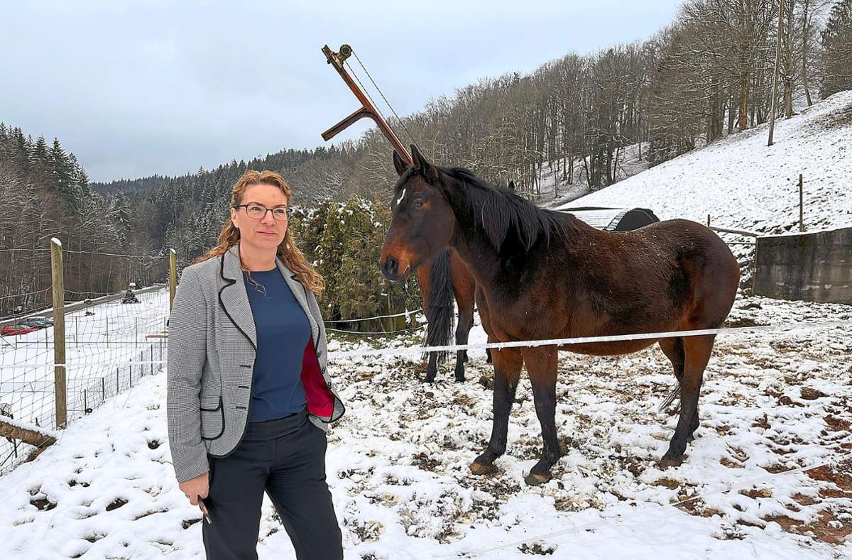 Angelina Meixner macht sich Sorgen um Soraya. Den beiden weiteren Pferden ist indes nichts anzumerken. Foto: Springmann
