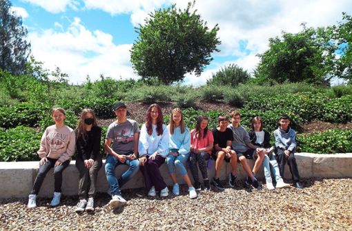 Fürs Gruppenfoto sitzen die jungen Ukrainer auf die Steinreihe hinter den Pavillons der Gemeinschaftsschule in Geislingen. Dort lernen sie in ihrer Vorbereitungsklasse vor allem Deutsch. Foto: Schnurr