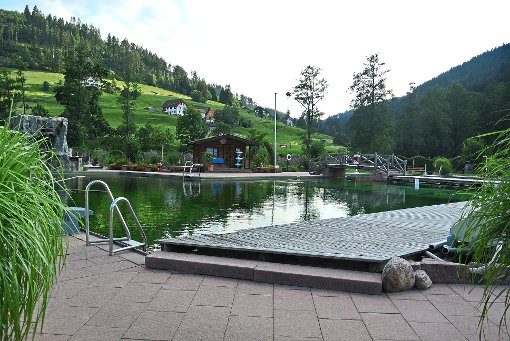 Das Naturbad Mitteltal hat sich in den vergangenen Jahren gut entwickelt.  Foto: Braun Foto: Schwarzwälder-Bote