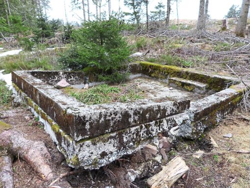 Die Bunker-Ruinen im Wald locken immer wieder Geschichtsenthusiasten an. Dabei ist das Gebiet nicht ungefährlich. Foto: Beyer