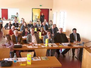 Die FDP Südbaden bereitet sich auf ihrem Parteitag auf die Landtagswahlen 2016 vor.   Foto: Suttheimer Foto: Schwarzwälder-Bote