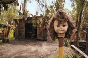 Auf der Isla de las Muñecas finden sich bis heute überall gruselige Puppen. Foto: imago/Daniel Venegas