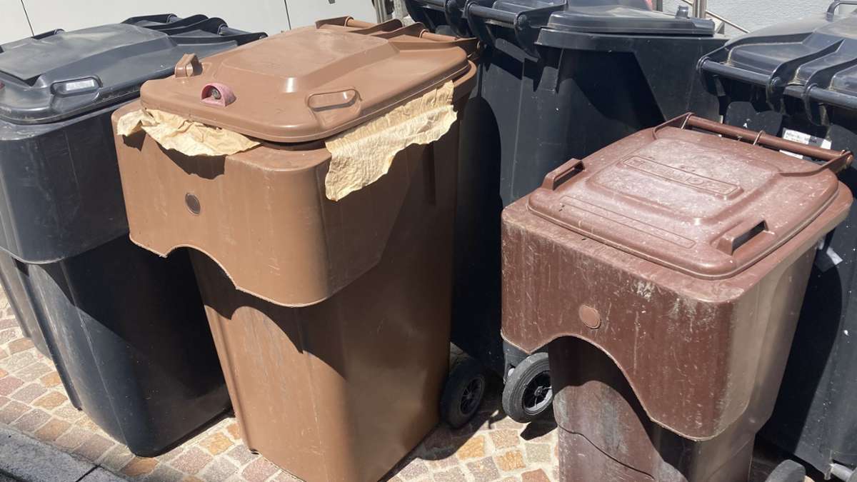 Waste trouble in the Zollernalb district - | This is what the district ...