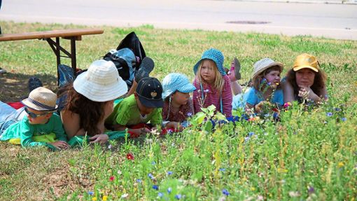 Was blüht und krabbelt, erkunden die Rosenkäfer, die Kinder im Rosenfelder Nabu. Foto: Archiv Foto: Schwarzwälder Bote