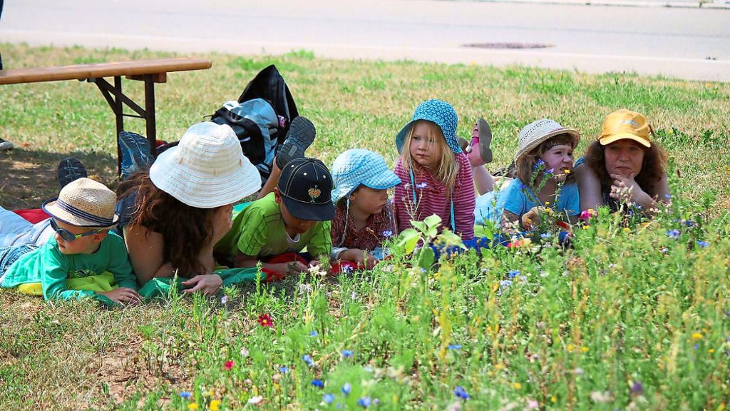Was blüht und krabbelt, erkunden die Rosenkäfer, die Kinder im Rosenfelder Nabu. Foto: Archiv Foto: Schwarzwälder Bote