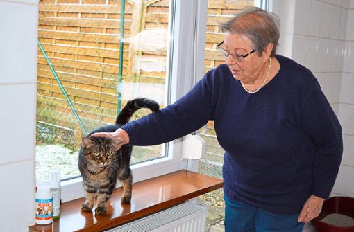 Gudrun Sohnrey ist seit rund 50 Jahren aktive Tierschützerin. Hier streichelt sie einen der aktuellen Bewohner des Katzenhauses. Foto: Selent-Witowski