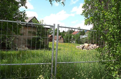 In diesen Garten, hier der Blick in den rückwärtigen Teil vom Baugebiet Wittum II aus, werden XCubes aus Niedereschach gestellt. Darin werden Flüchtlinge unterkommen. Foto: Bantle