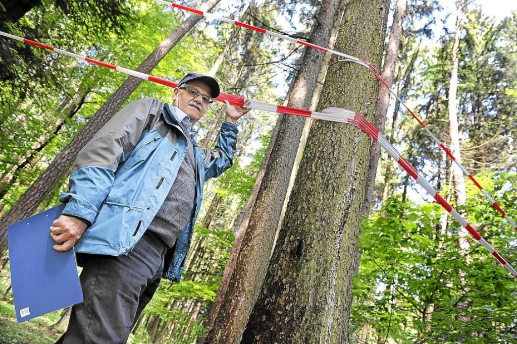 Werner Thumm, einer der Windkraft-Gegner, zeigt bei einem Waldfest mit Absperrband, wie viel Platz die Windkraftanlagen im Großen Hau einnehmen würden. Foto: Hopp/Weigel