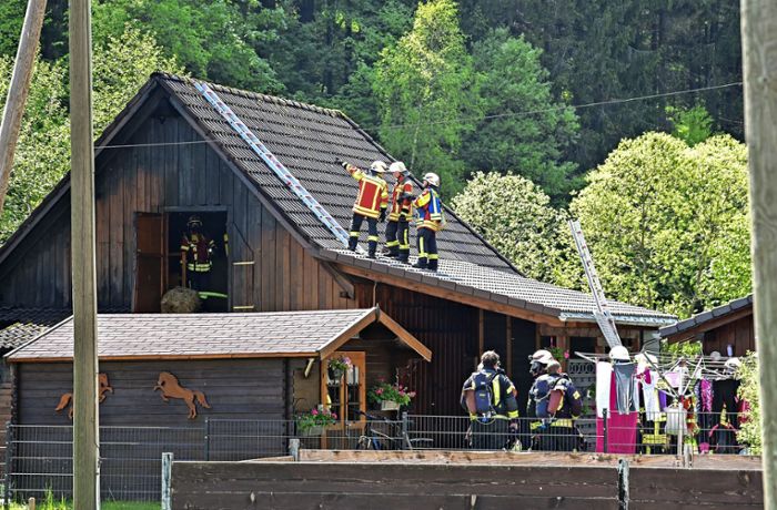 Ursache nun bekannt: Polizei teilt weitere Details zu Brand in Pferdestall mit