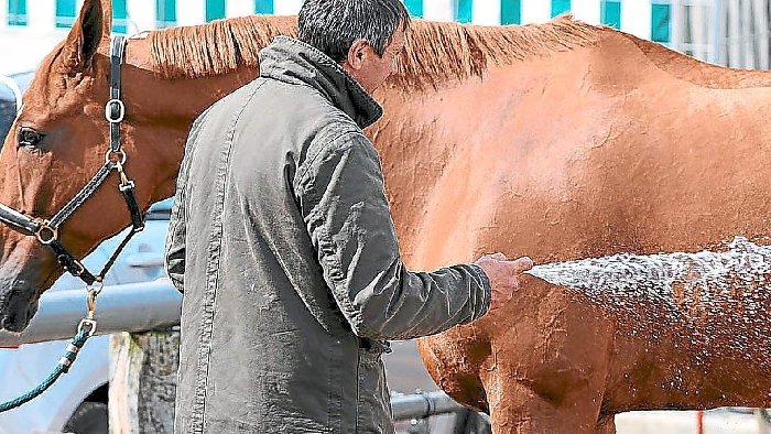 Pferdesportzentrum wehrt sich gegen Vorwürfe