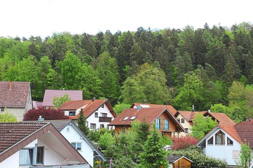 Der Rammert reicht in Weiler bis an den Ortsrand. Rottenburg ist die waldreichste Gemeinde in Baden-Württemberg. Foto: Baum Foto: Schwarzwälder Bote