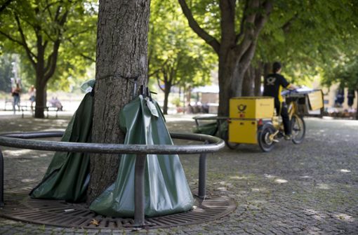 Wasserspender sollen Bäumen helfen (Archivbild). Foto: Leif Piechowski/LICHTGUT/Leif Piechowski